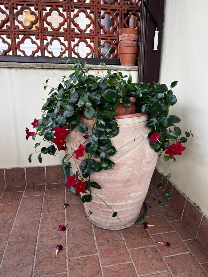 B&B La Panoramica Tivoli Zewnętrze zdjęcie